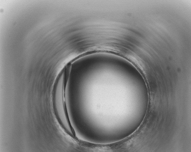 X0000088611133200706011221