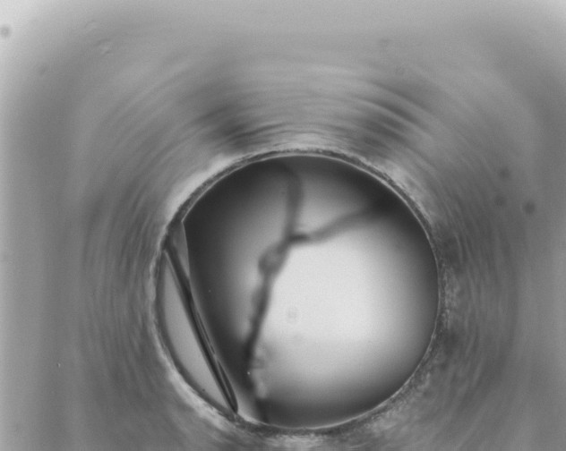 X0000088611134200706011221