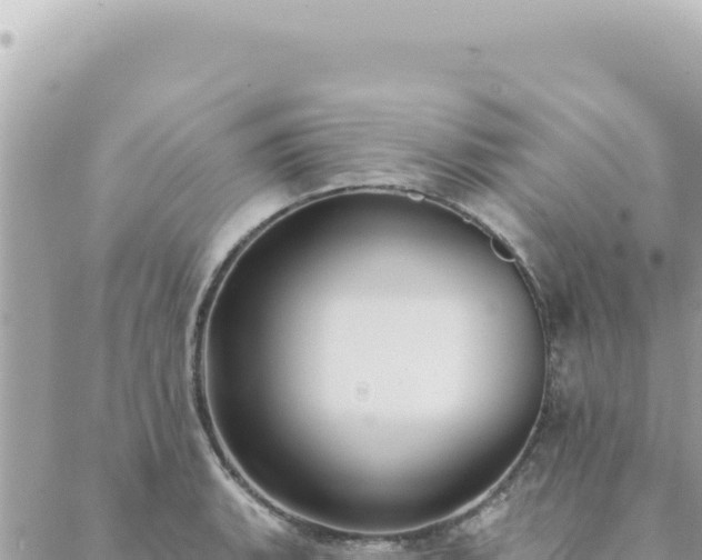 X0000088611135200706011221