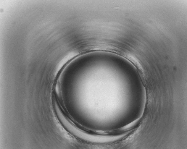 X0000088611138200706011221