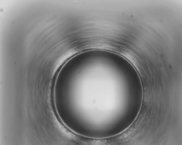 X0000088611139200706011221