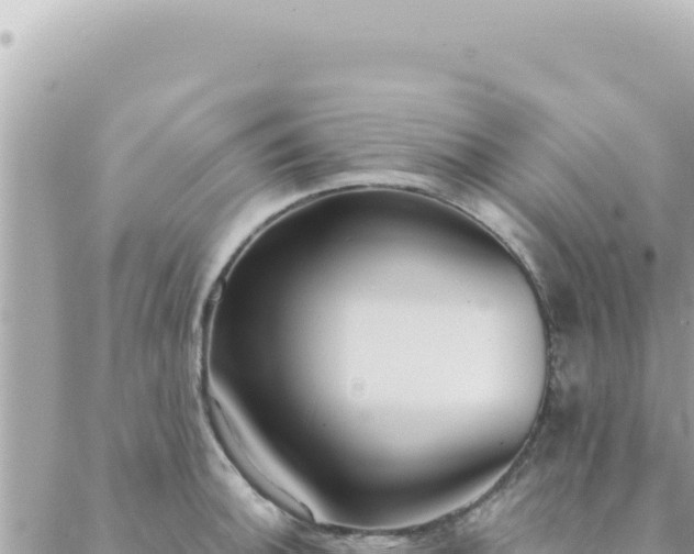 X0000088611140200706011221