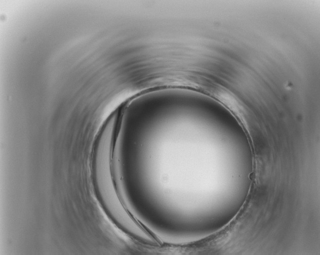 X0000088611141200706011221