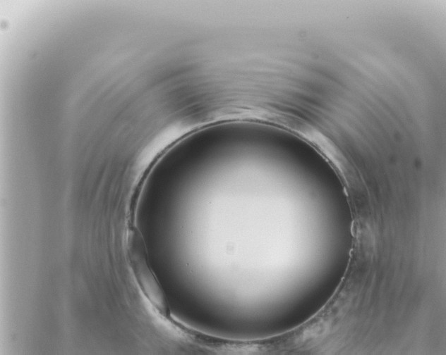 X0000088611143200706011221