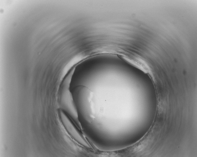 X0000088611146200706011221