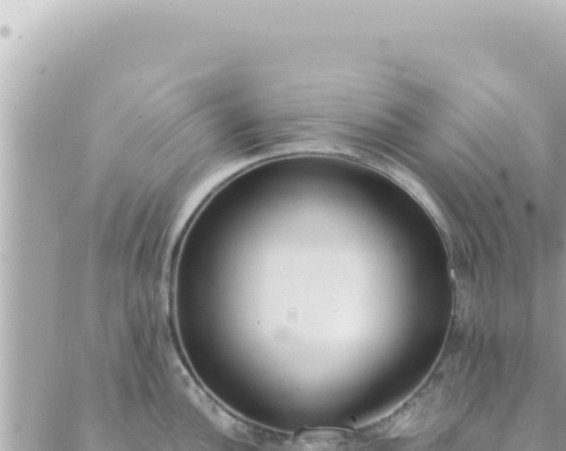 X0000088611148200706011221