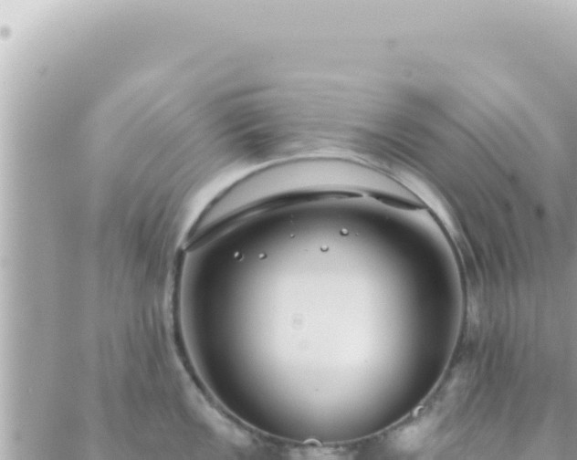 X0000088611149200706011221