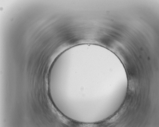 X0000088611150200706011221