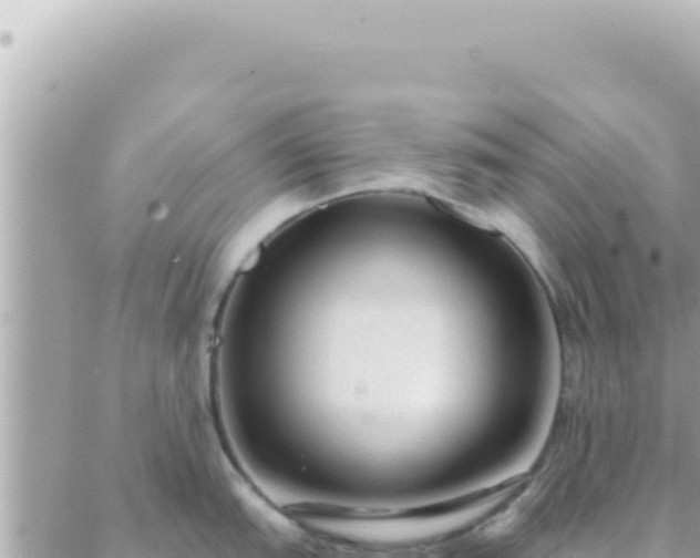 X0000088611151200706011221