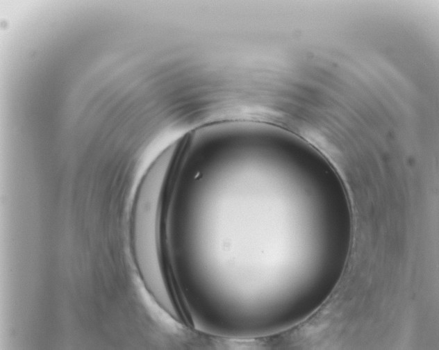 X0000088611152200706011221