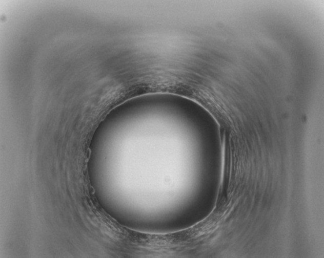 X0000088611153200706011220