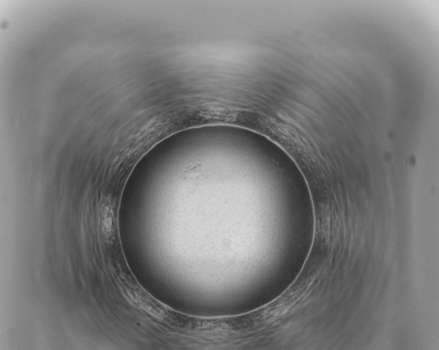 X0000088611154200706011220