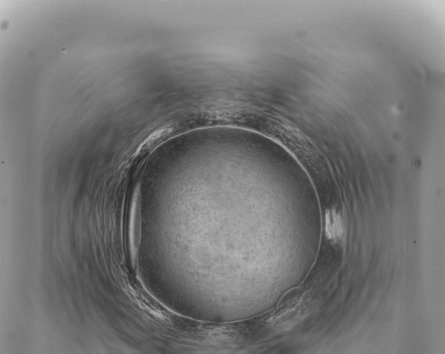 X0000088611155200706011220