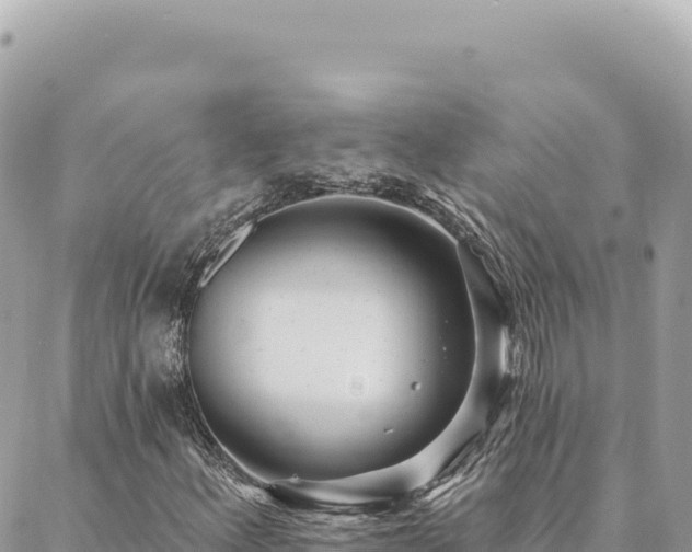 X0000088611156200706011220