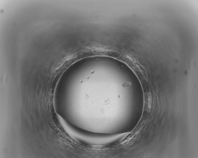 X0000088611157200706011220