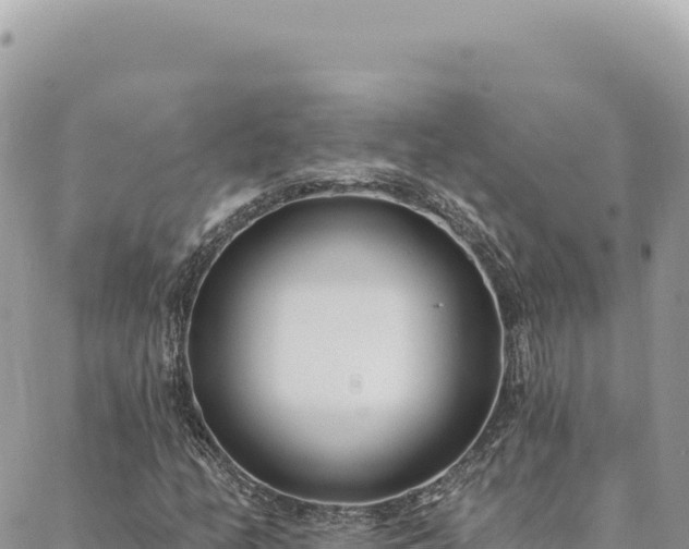 X0000088611158200706011220