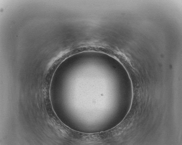 X0000088611159200706011220