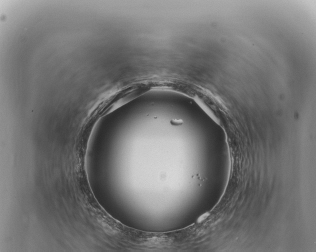 X0000088611160200706011220