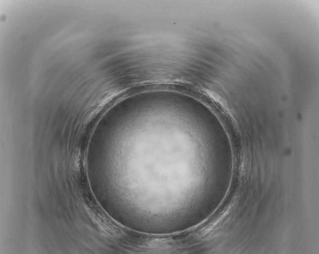 X0000088611161200706011220