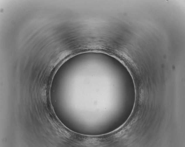 X0000088611162200706011220