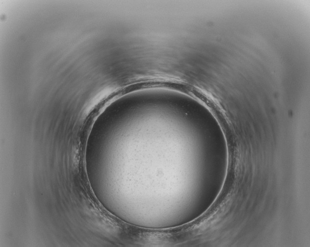 X0000088611163200706011220