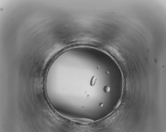 X0000088611164200706011220