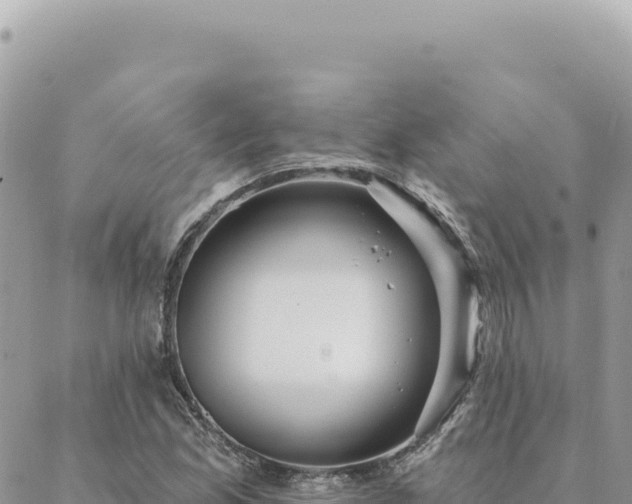 X0000088611165200706011220