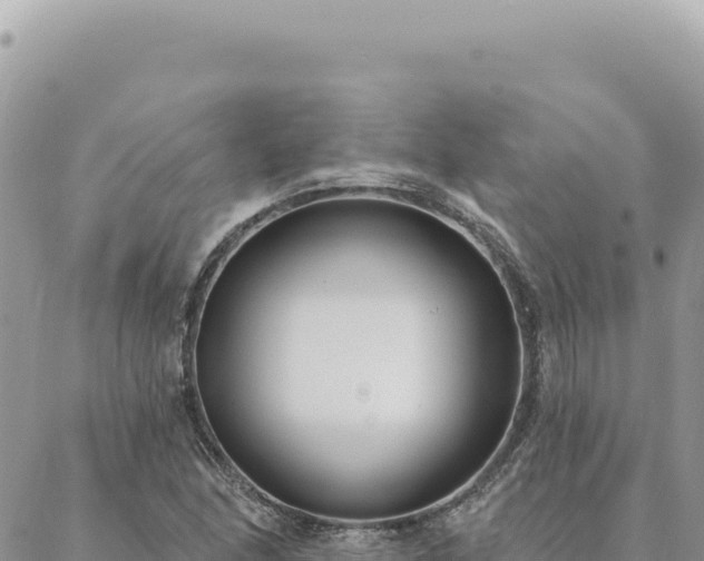 X0000088611166200706011220