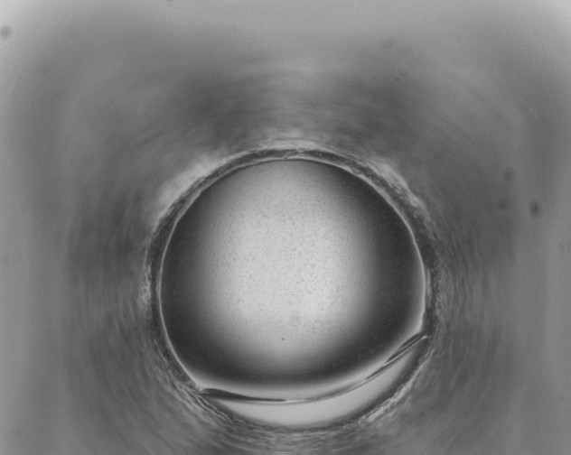 X0000088611167200706011220