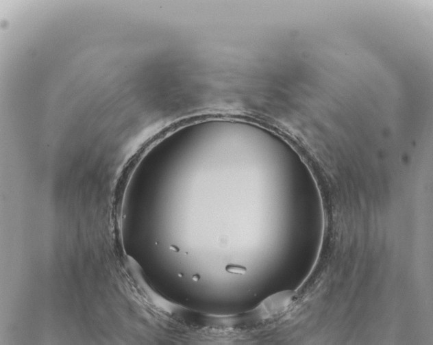 X0000088611168200706011220