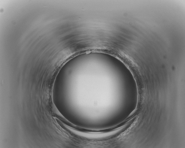 X0000088611169200706011220