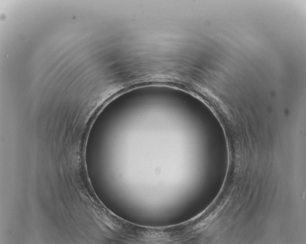 X0000088611170200706011220