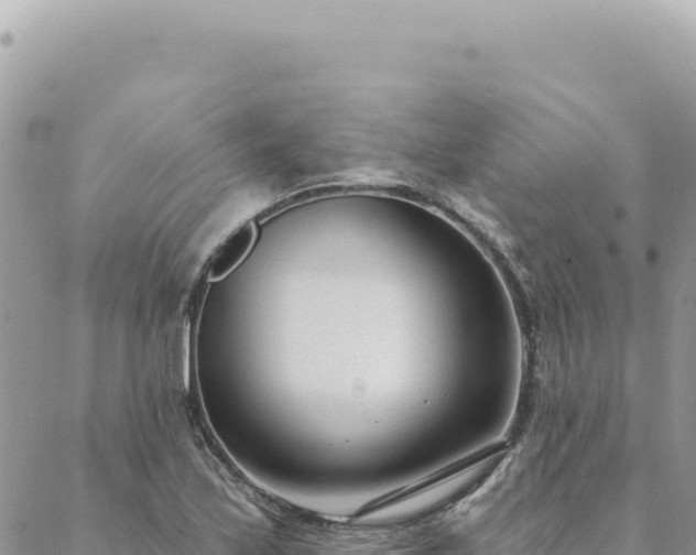 X0000088611171200706011220