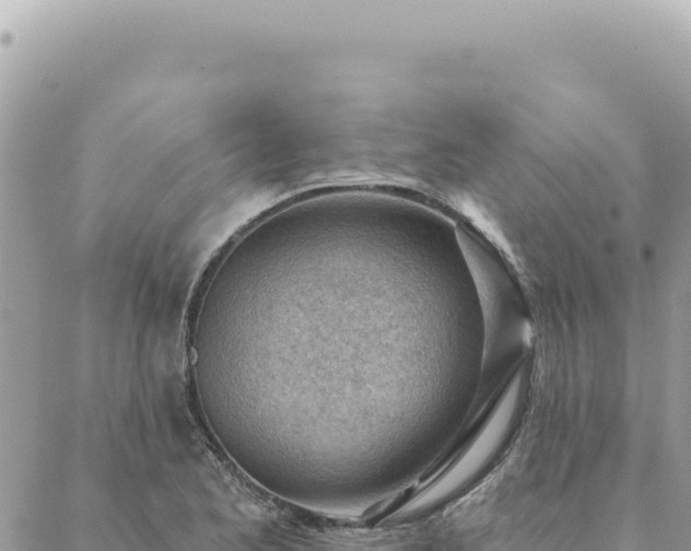 X0000088611173200706011220