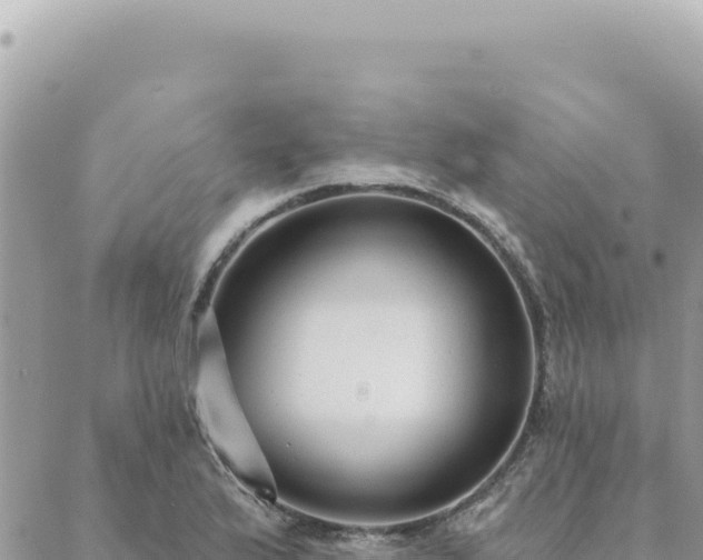 X0000088611175200706011220