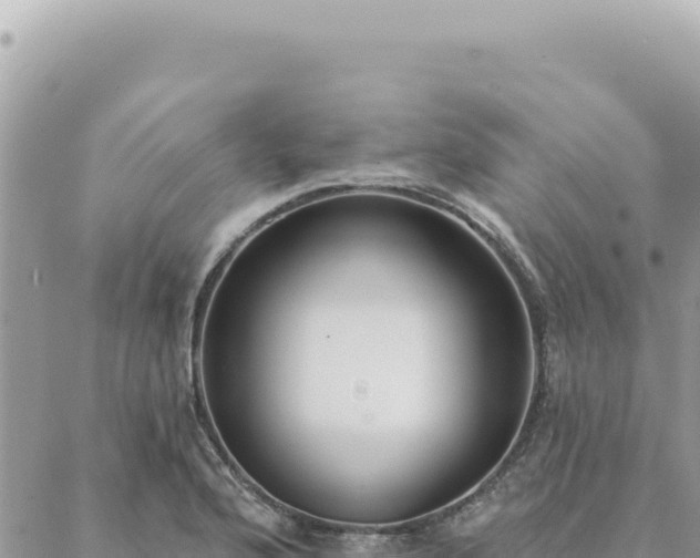 X0000088611176200706011220