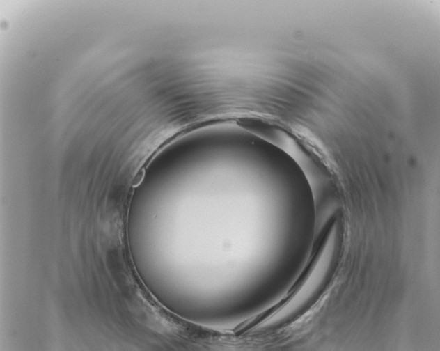 X0000088611177200706011220