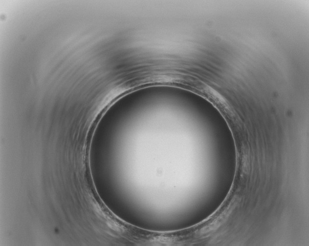 X0000088611178200706011220