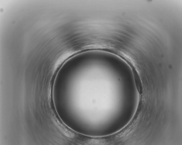 X0000088611179200706011220