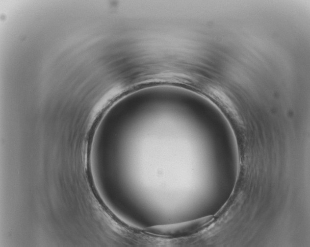 X0000088611180200706011220