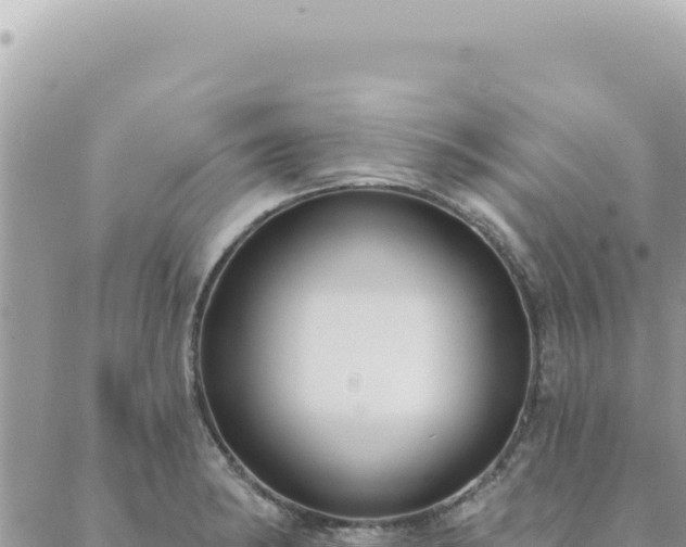 X0000088611182200706011220