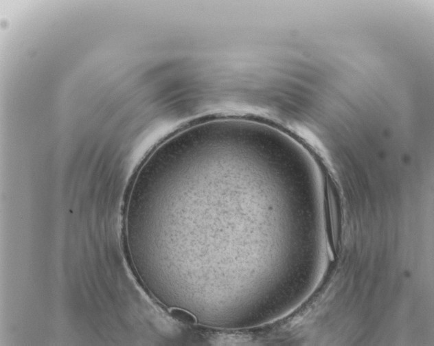 X0000088611183200706011220