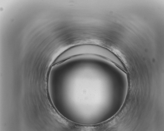 X0000088611184200706011220