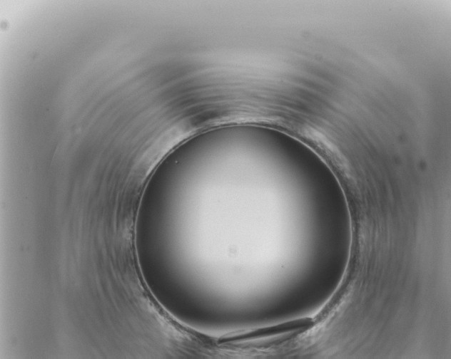 X0000088611185200706011220