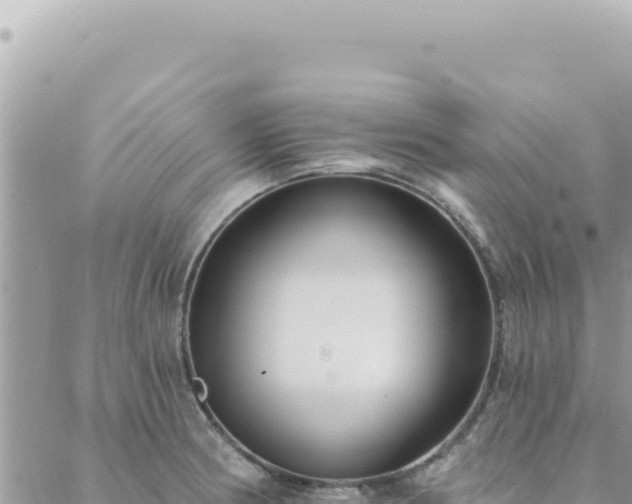 X0000088611186200706011220