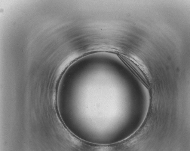 X0000088611188200706011220