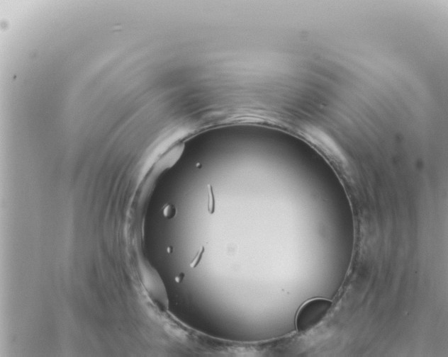 X0000088611190200706011220