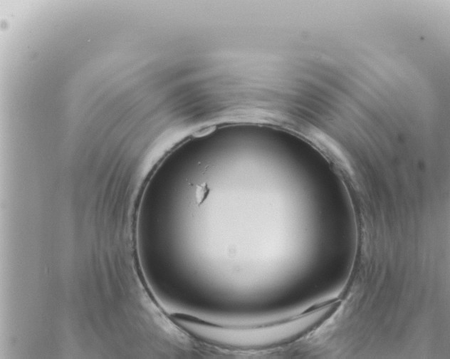 X0000088611192200706011220