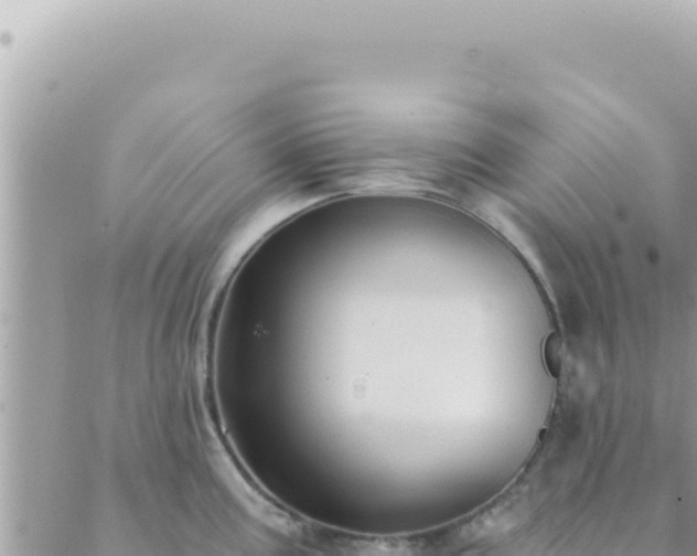 X0000088611195200706011220