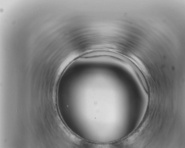 X0000088611196200706011220